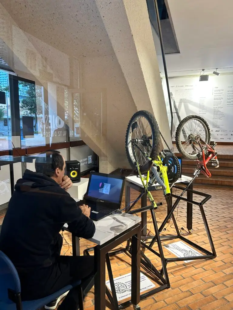 Festival Internacional de la Imagen 2024-1 | Entre las grietas