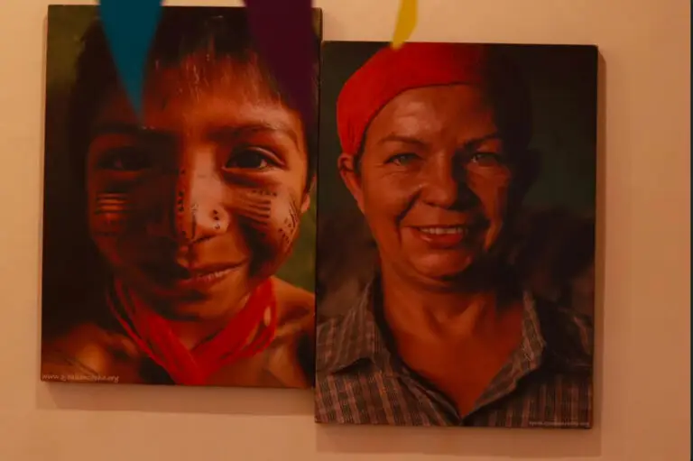 Festival Internacional de la Imagen 2023-1 No Hay Dolores Menores